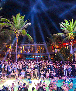 Where to party
