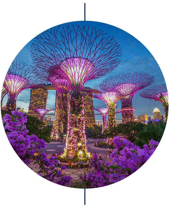 ilwt-singapore
